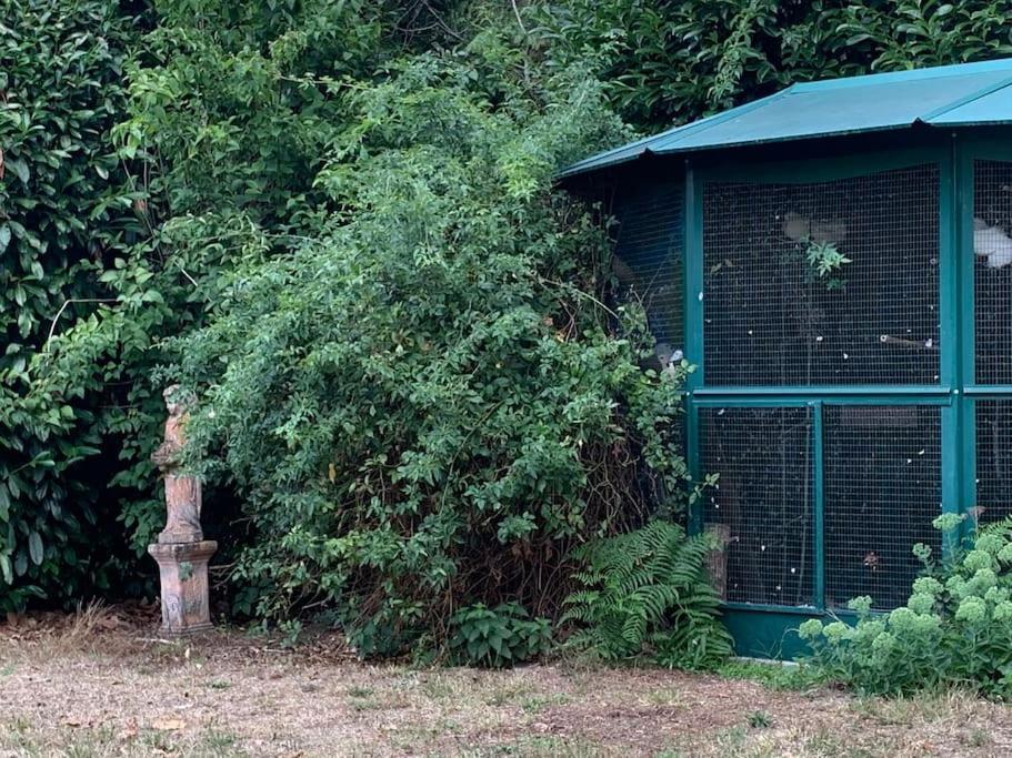 Maisonnette En Clairiere De Foret Gambais Esterno foto