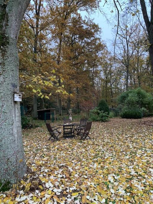 Maisonnette En Clairiere De Foret Gambais Esterno foto