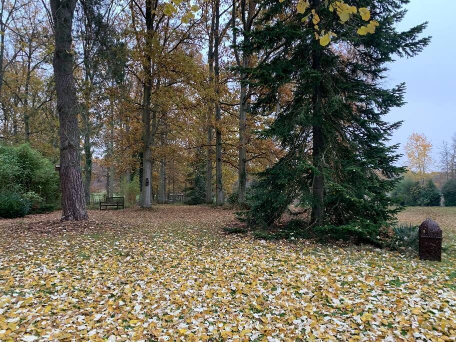 Maisonnette En Clairiere De Foret Gambais Esterno foto