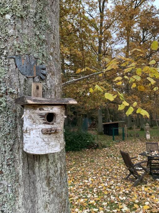 Maisonnette En Clairiere De Foret Gambais Esterno foto