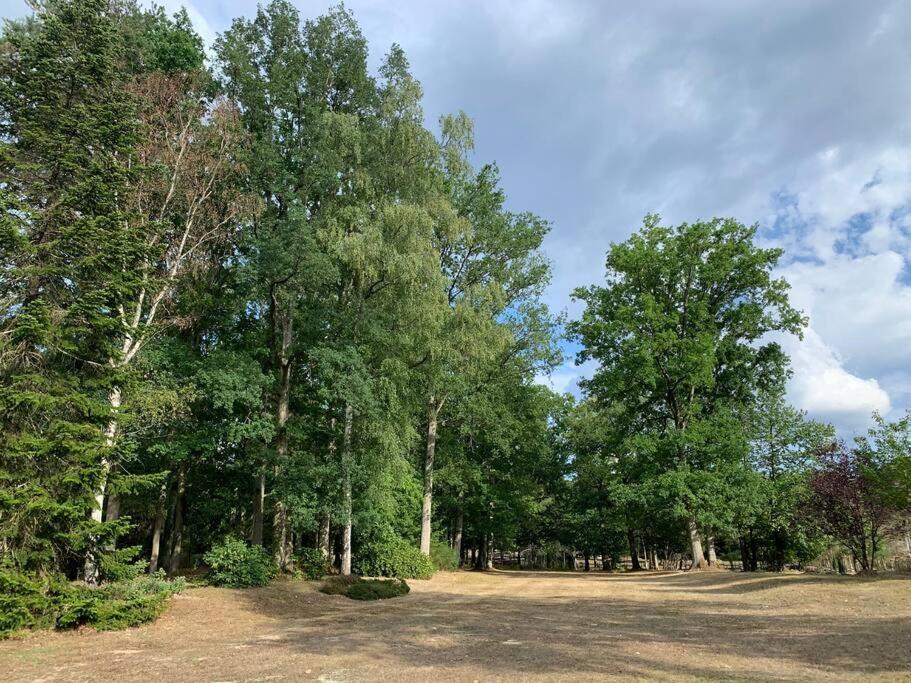 Maisonnette En Clairiere De Foret Gambais Esterno foto